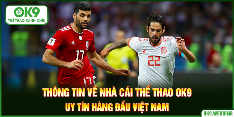 Thông tin chi tiết về sân chơi thể thao OK9