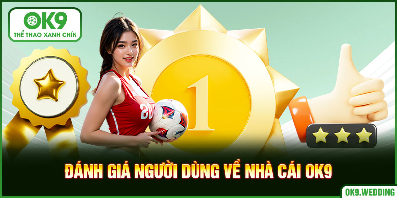 Những đánh giá tích cực từ người dùng