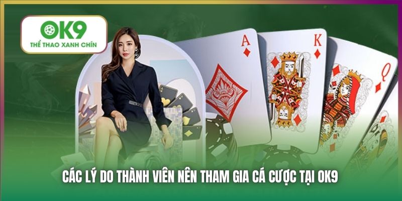 Các lý do thành viên nên tham gia cá cược tại OK9
