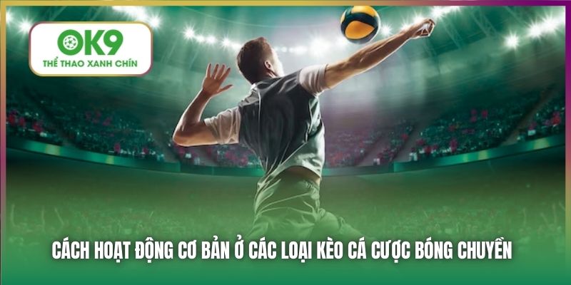 Cách hoạt động cơ bản ở các loại kèo cá cược bóng chuyền