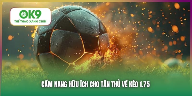 Cẩm nang hữu ích cho tân thủ về kèo 1.75