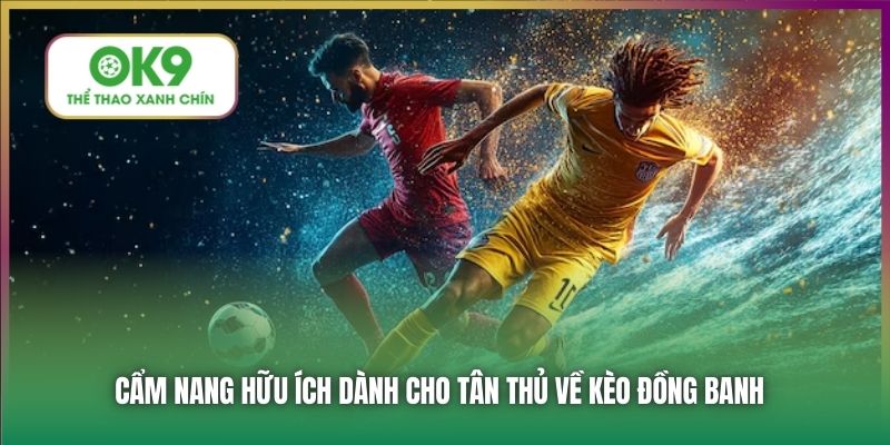 Cẩm nang hữu ích dành cho tân thủ về kèo đồng banh