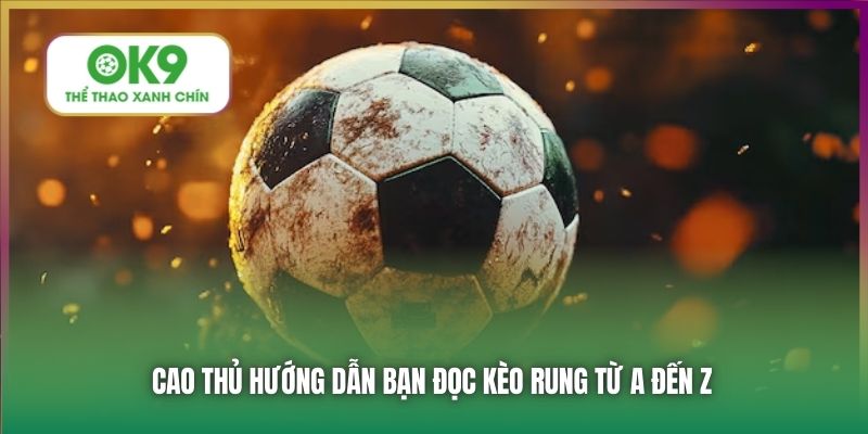 Cao thủ hướng dẫn bạn đọc kèo rung từ A đến Z