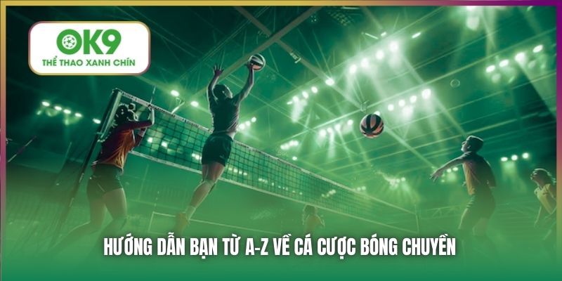 Hướng dẫn bạn từ A-Z về cá cược bóng chuyền