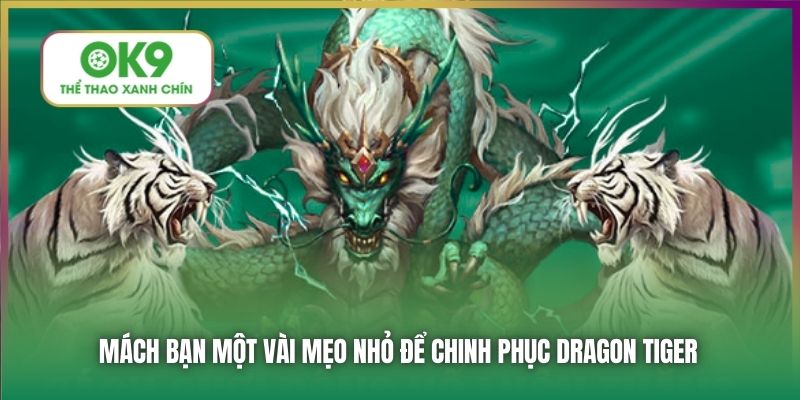 Mách bạn một vài mẹo nhỏ để chinh phục Dragon Tiger