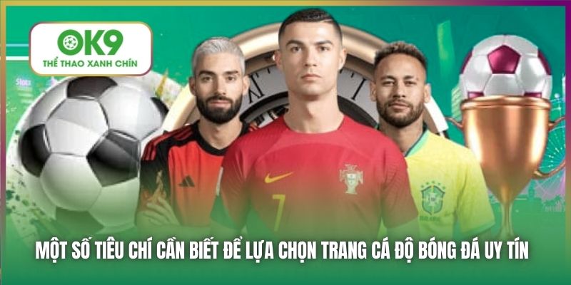 Một số tiêu chí cần biết để lựa chọn trang cá độ bóng đá uy tín