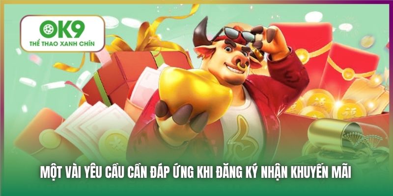 Một vài yêu cầu cần đáp ứng khi đăng ký nhận khuyến mãi
