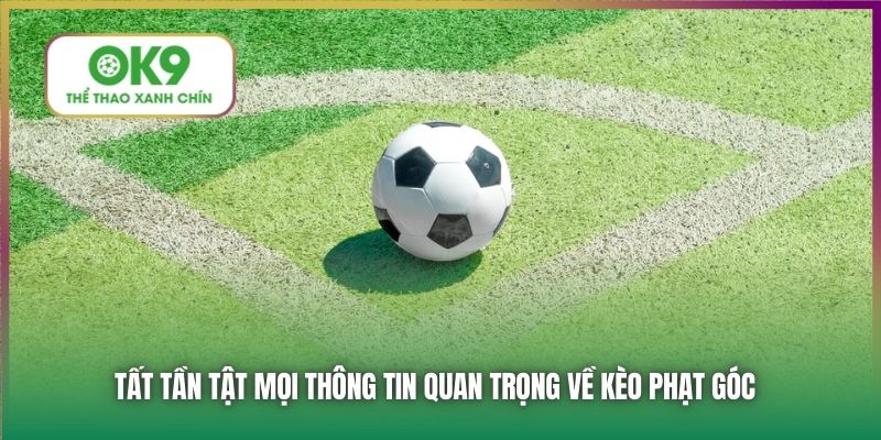 Tất tần tật mọi thông tin quan trọng về kèo phạt góc