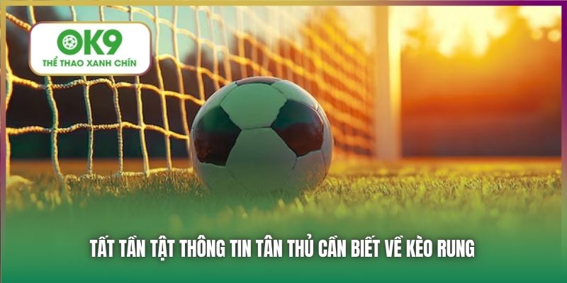 Tất tần tật thông tin tân thủ cần biết về kèo rung