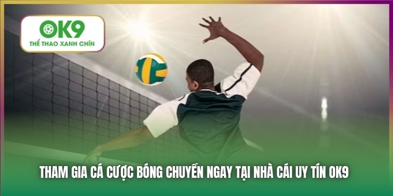 Tham gia cá cược bóng chuyền ngay tại nhà cái uy tín OK9