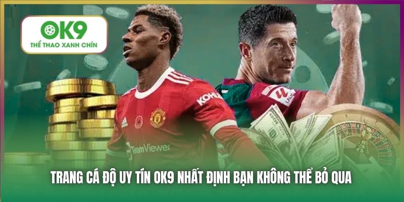 Trang cá độ uy tín OK9 nhất định bạn không thể bỏ qua