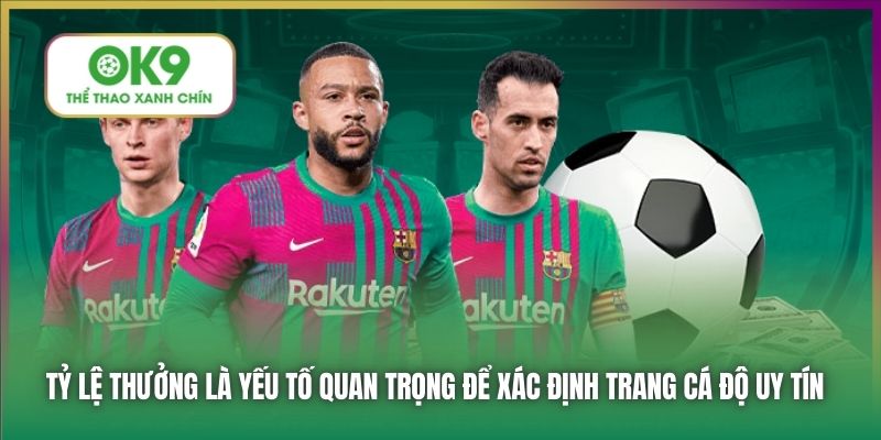 Tỷ lệ thưởng là yếu tố quan trọng để xác định trang cá độ uy tín